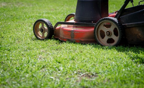 Guide d’Achat : Quelle Tondeuse Choisir pour Votre Jardin en 2025 ?